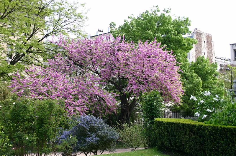 Paris (256).JPG